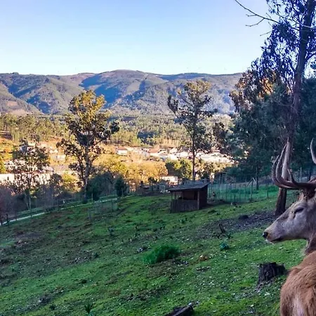 Casa Dos Copos - Drinks House