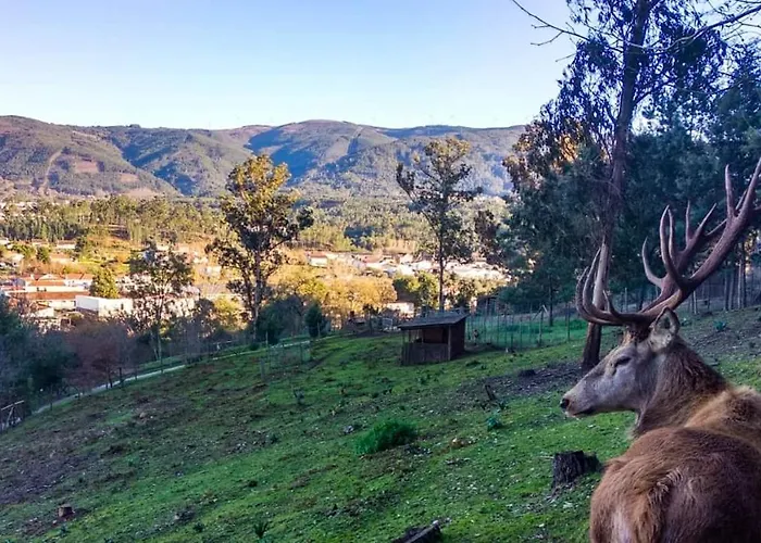 Casa Dos Copos - Drinks House